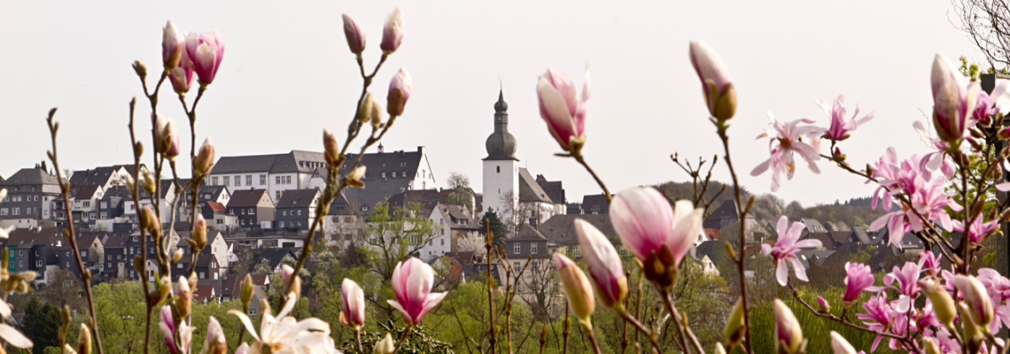 Arnsberger Glockenturm